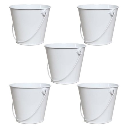 Mini järnhink Spann hink Kreativ suckulentkruka Stor vit