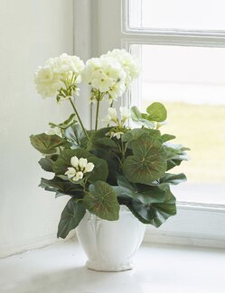 Konstväxt Pelargon 35 cm Vit