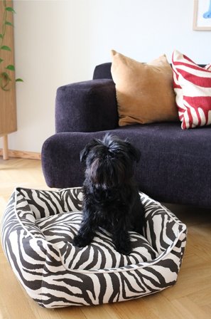 Jotex - Hunde-/katteseng Beige/svart - ZEA - Kjøp Hundeseng/katteseng hos Jotex