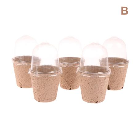 5 kpl/setti lastenruukkuja kosteuskuvulla Aloitusruukut ruukuilla Ruskea 8cm Brown 8cm