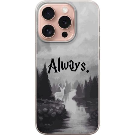Apple iPhone 16 Pro Läpinäkyvä kuori Harry Potter Hogwarts