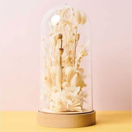 Mousse Florale - RICO DESIGN - Rund - 7,5 x 4 cm - Vit - Inomhus