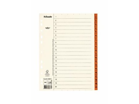 Esselte Pappregister Servo A4 1-20 brun - Lyreco - Kontorsmaterial > Pärmar och register > Servoregister