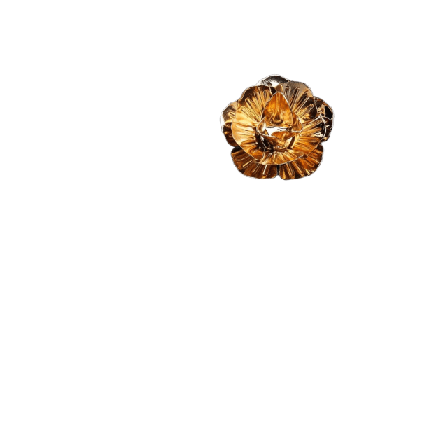 John Henric Lapel Pin Vigo Kostymtillbehör Herr Guld ONESIZE