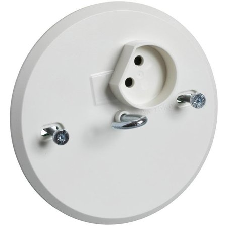 Schneider Electric 189504200 Lamputtag ojordat, 1-vägs, 2-pol, med krok, Strömbrytare & vägguttag