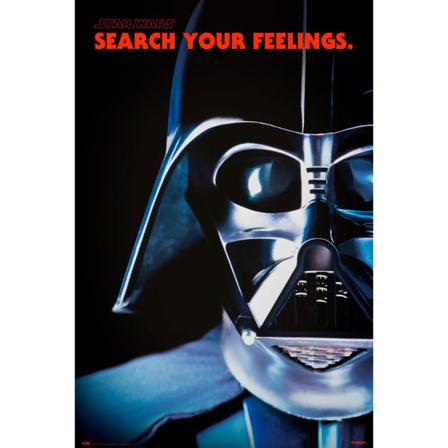 STAR WARS - D.W. - SEARCH YOUR FEELINGS multifärg