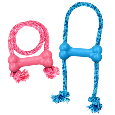 Kong - Puppy Goodie Bone med tau XSmall - Blandet farge Rosa/Blå - Hund - Hundeleker & spill - Gummileker - ZOO.no