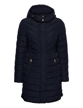 Dartwell Blue Joules
