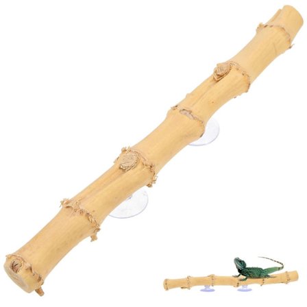 Amphibia Terrarium Tregren Reptil Klatregren Øgle Klatretre Jungle Klatrevin