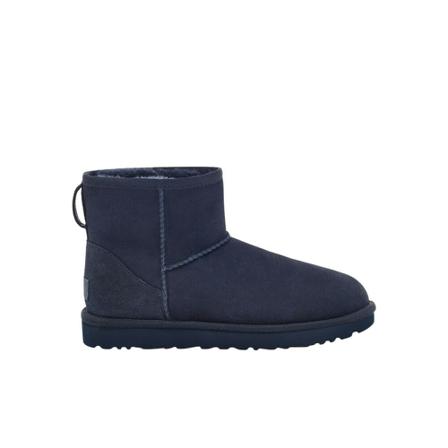 Ugg, Winter Boots Blauw, Dames, Maat:36 EU