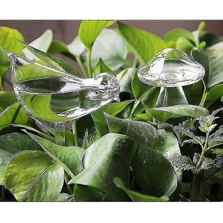 2-pakke plantevanningspærer i glass, selvvannende pinner, vannkule, automatisk vanningsenhet for innendørs og utendørs planter, fugl og sopp