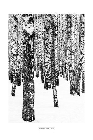 Malerifabrikken - Juliste White Edition 1 - Musta - Julisteet - - Homeroom