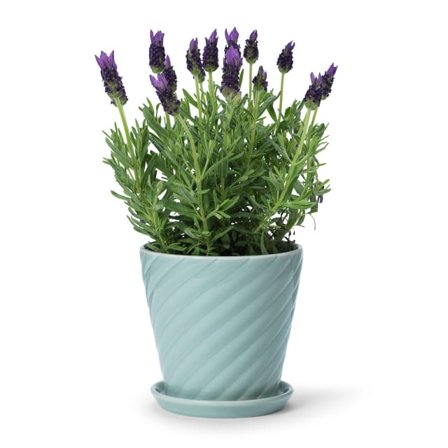 In Flore Sigrid Blomkruka Och Fat Krukor & vaser Grön