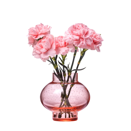 In Flore Clara Vas Krukor & vaser Rosa 13 cm