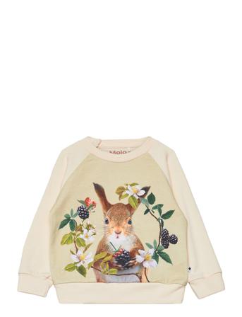 Elsa Sweatshirt Trøje Multi/mønstret Molo