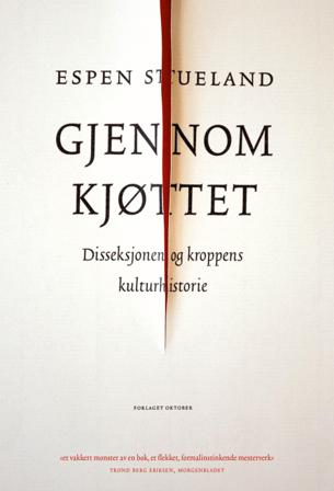 Gjennom kjøttet - Bok av Espen Stueland - Pocket
