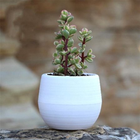 Mini blomsterpotter fargerike runde plastplanter blomsterpotte sukkulenter potte hage hjemmekontor dekor plast barnehagepotter