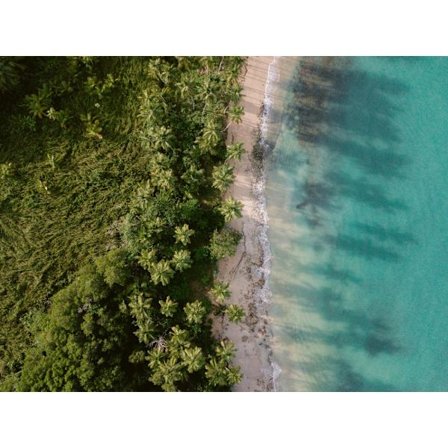 Grøn strand fra oven 2