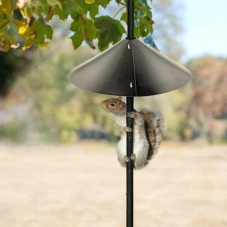 Ekorrsäker fågelmatare baffelskydd, hängande fågelmatare stolpe för ekorrsäker fågelmatare stolpe, 12 tum