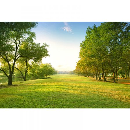 Maisematapetti, rauhoittava rentouttava maisema laakson kukkulalta auringonsäteillä