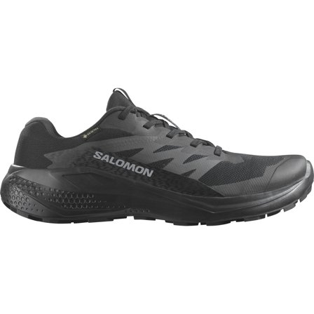 Salomon Alphaglide GTX Black