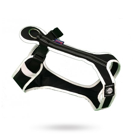 Zero DC - Zero DC Shorter Svart & Hvit - Klassiske hundeseler, step-in, jacket seler, trekkseler, vinterseler & Y-seler på Doggie.no