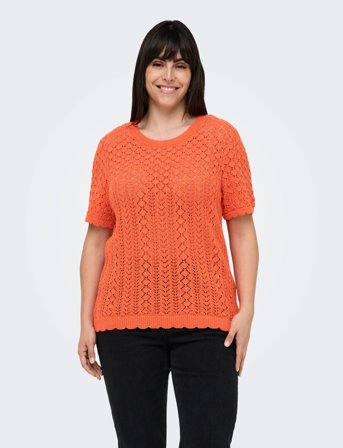 ONLY Carmakoma Carsaga Life Ss O-Neck Knt - Orange - 42-44