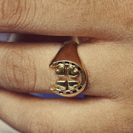 Ace | Gold-tone 4-leaf Clover & Horseshoe Signet Ring for Men - Steel rings