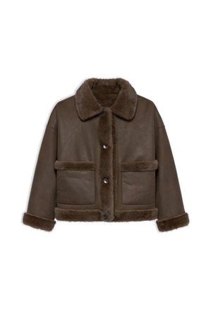 Faje Faux Mink Chocolate 34