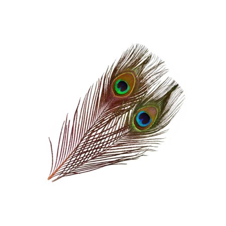 Frödin SNS Peacock Eye Feathers - Hot Orange In Flames