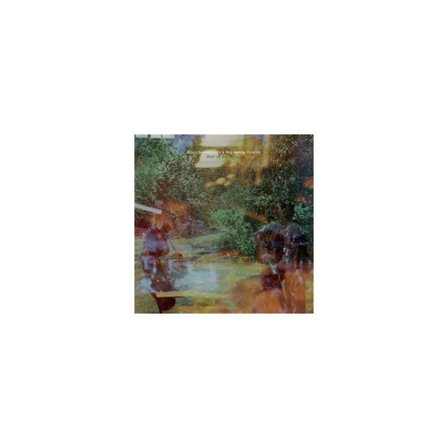 Vinyl LP Fat Possum Haley Heynderickx & Max Garcia Conover Vad är vår natur folk