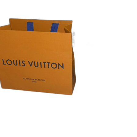 Louis Vuitton rutig ryggsäck i svart