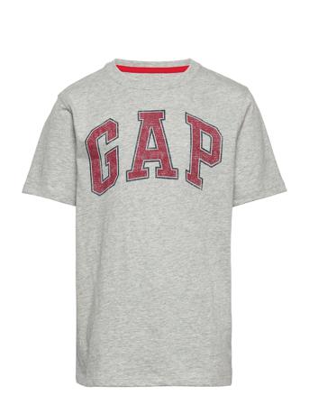 V-New Arch Screen T-shirts Short-sleeved Grå GAP