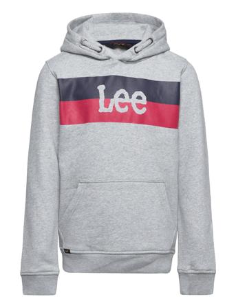 Stripe Logo Bb Oth Hoodie Grey Lee Jeans