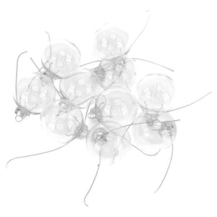 2023 Muovipallo 10 kpl / set Uudelleenkäytettävä ripustettava koristepallo Pesulapallo koristelu 6cm/2,4 tuumaa