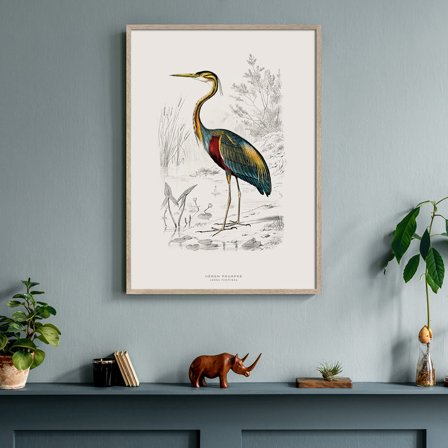 Hejre — Plakat med flot illustration af fugl fra Nature Remixed by Gehalt