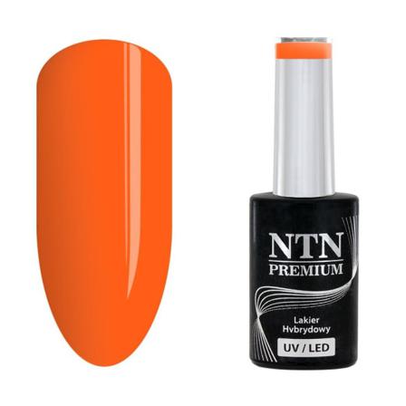 Ntn Premium - Gellack - California - Nr142 - 5g Uv-gel/led Orange
