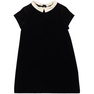 Bonpoint Black Begonia Velvet Dress 8 Years - Dresses - 8 years - Black