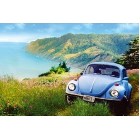 Volkswagen VW Beetle - Bubbla