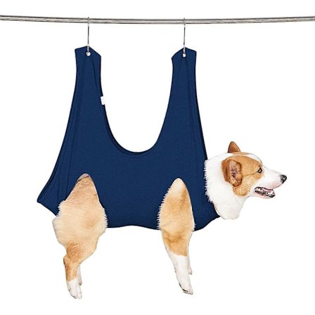 Hängmatta för hund/kattgrooming med kloklippare för hund eller kattblå