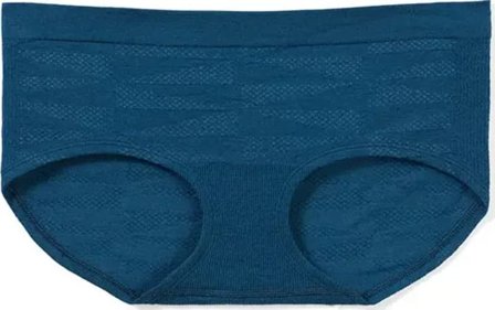 Smartwool Women's Merino Sport Seamless Hipster Women undergarment Blue S