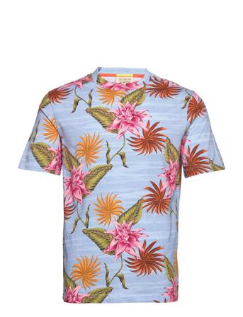 Scotch & Soda T-shirts Short-sleeved Monivärinen/Kuvioitu Scotch & Soda