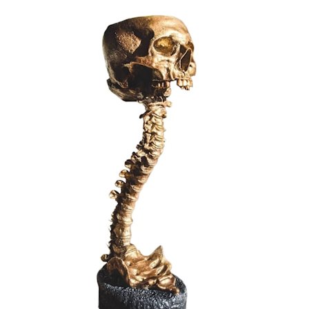 Plantepot med kranium og rygsøjle Retro menneskeskallehoved blomsterpotte Velegnet til hjem kontor udendørs