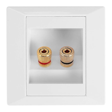 Vägguttag Anslutningsport med 2 Jack Högtalare Vit Banmo