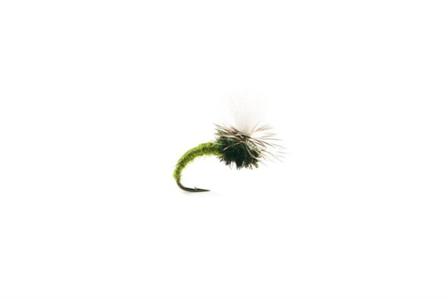 Klinkhammer Olive size 14