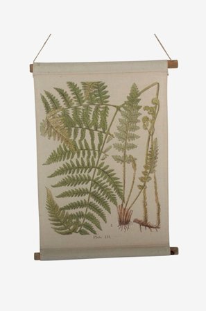 NORDFORM - Vegghengende Ormbunke - Natur - Posters, bilder & skilt - Fra Homeroom