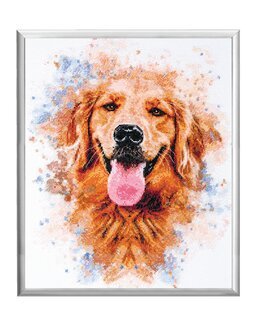 Broderikit Tavla Golden retriever
