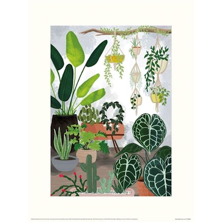 Rosana Laiz Jungle Print 30cm x 40cm Grön/Vit