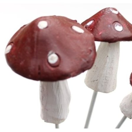 Flugsvamp röd och vit 6-7 cm