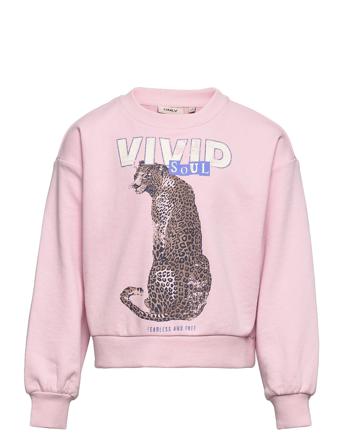 Konfancy L/S Leo Box Ub Swt Sweat-shirt Tröja Rosa Kids Only